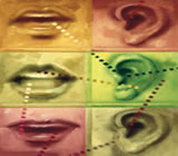 Fonoaudiologia em Mongaguá